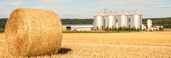 Newsletter No. 3 2016 (2016-12-21)