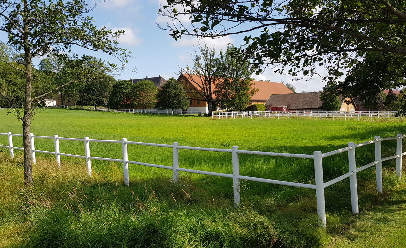 Lagring av kyld spannmål i oventilerat planlager